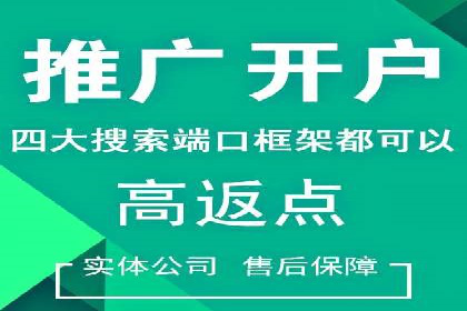 提升SEM效果：SEM专员的五个成功案例解析