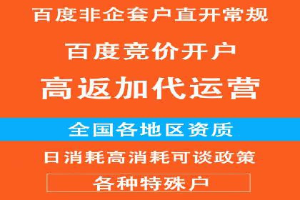 竞价广告投放技巧与案例分析